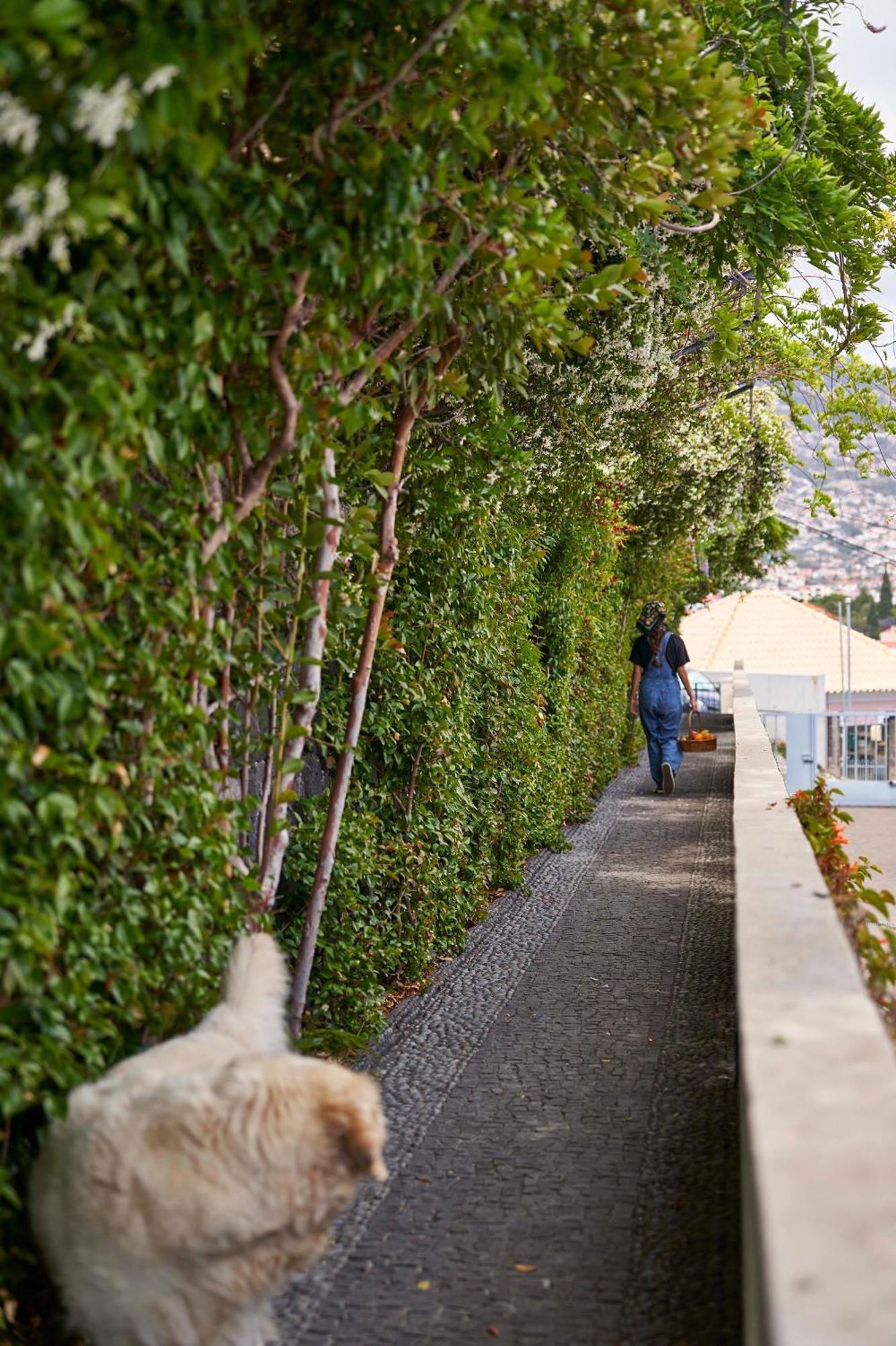 Bordal Houses Funchal  Eksteriør bilde